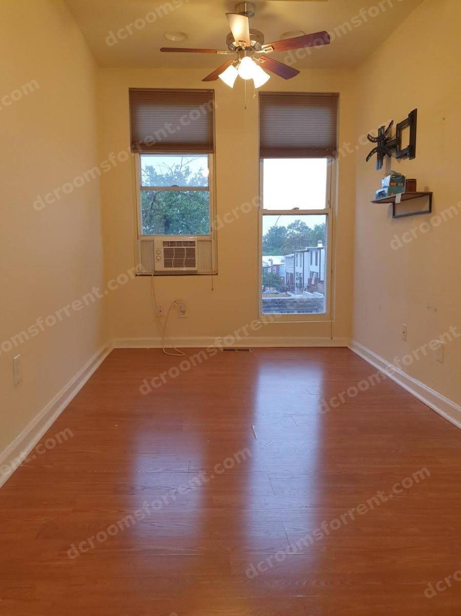 Foxtrot Room: the two tall front windows filling the room with natural light