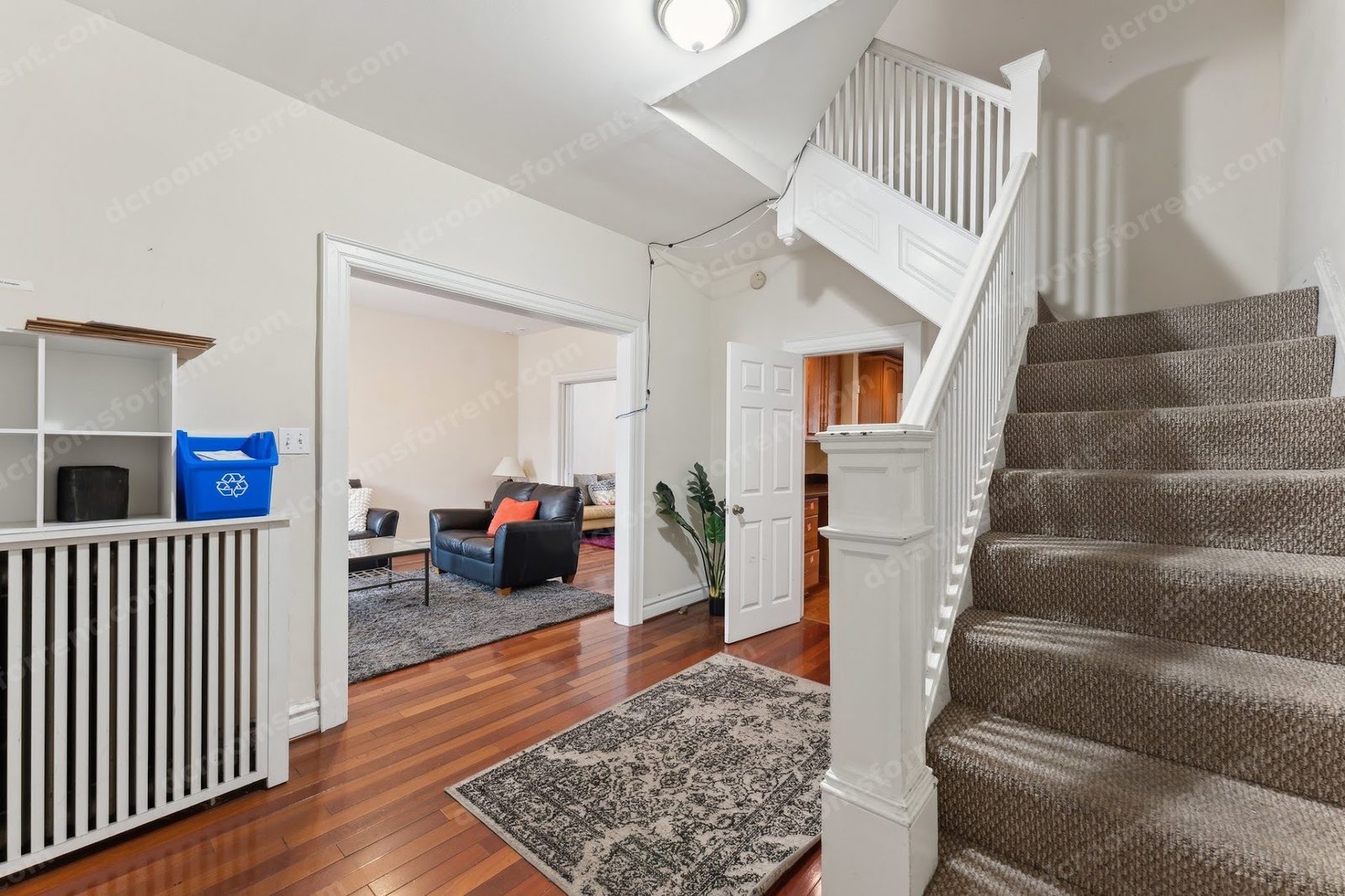 Entry hallway with carpeted staircase and view into the living room.